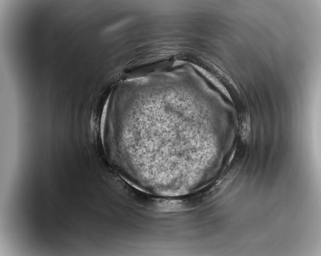 X0000096440476200802141455