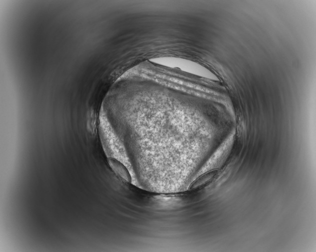 X0000096440477200802141455