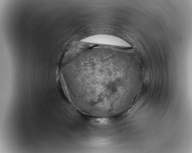 X0000096440478200802141455