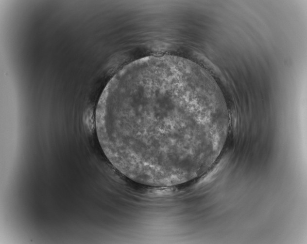 X0000096440479200802141455