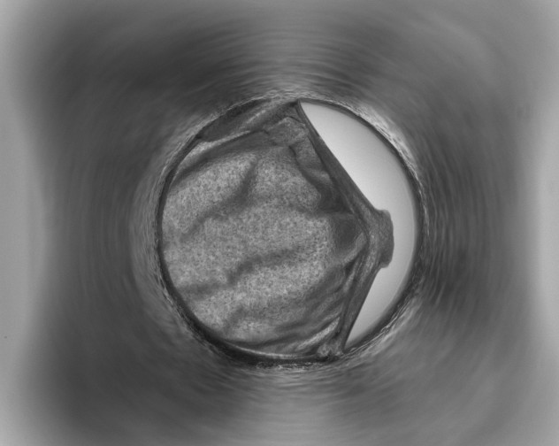 X0000096440481200802141455