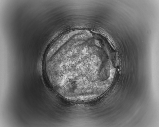 X0000096440482200802141455