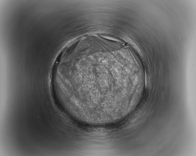 X0000096440483200802141455