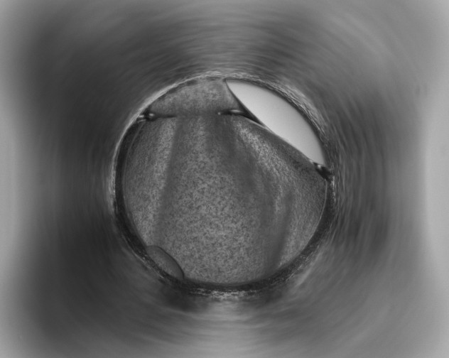 X0000096440484200802141455