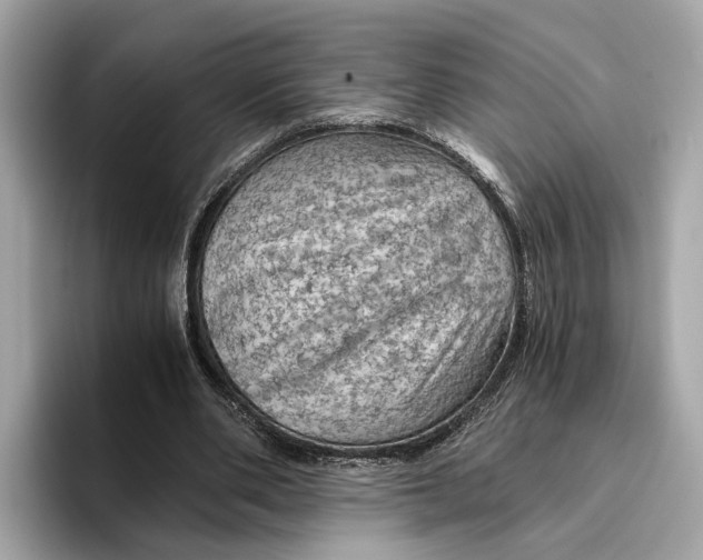 X0000096440486200802141455