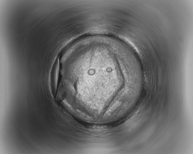 X0000096440487200802141455