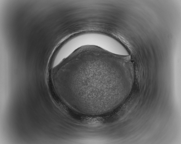 X0000096440488200802141455