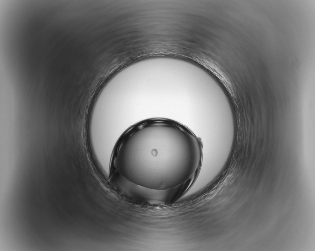 X0000096440489200802141455