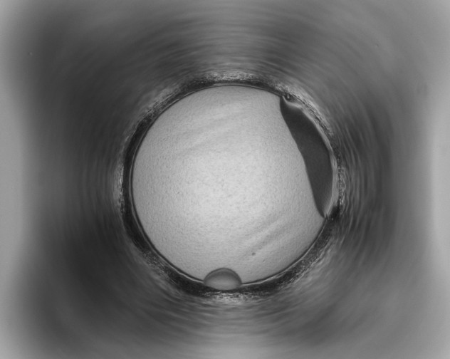 X0000096440490200802141455