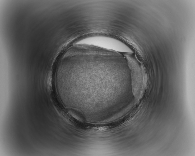 X0000096440492200802141455