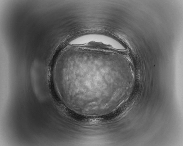 X0000096440495200802141455