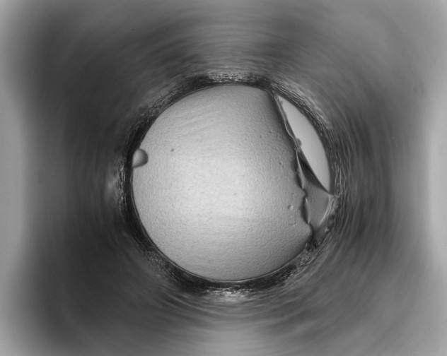 X0000096440498200802141455