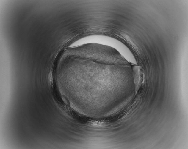 X0000096440500200802141455