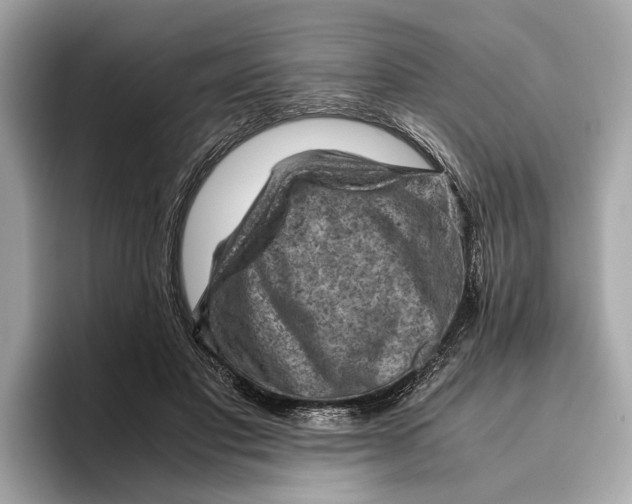 X0000096440501200802141455