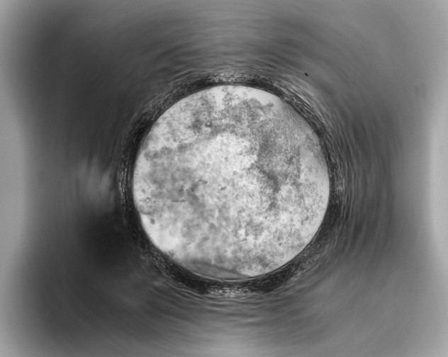 X0000096440503200802141455