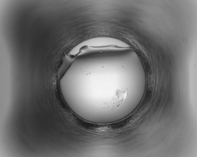 X0000096440505200802141455