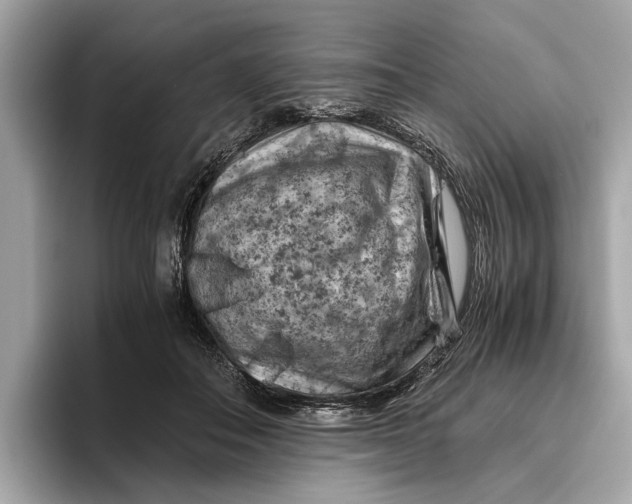 X0000096440506200802141455