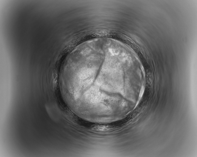 X0000096440507200802141455