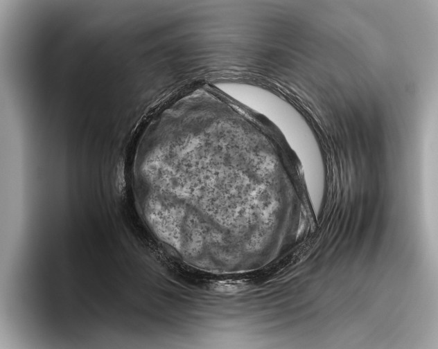 X0000096440508200802141455