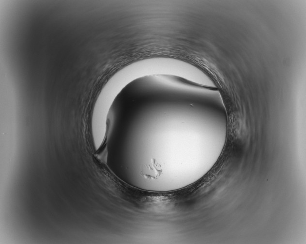 X0000096440509200802141455