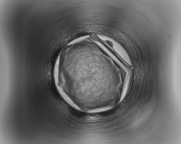 X0000096440510200802141454