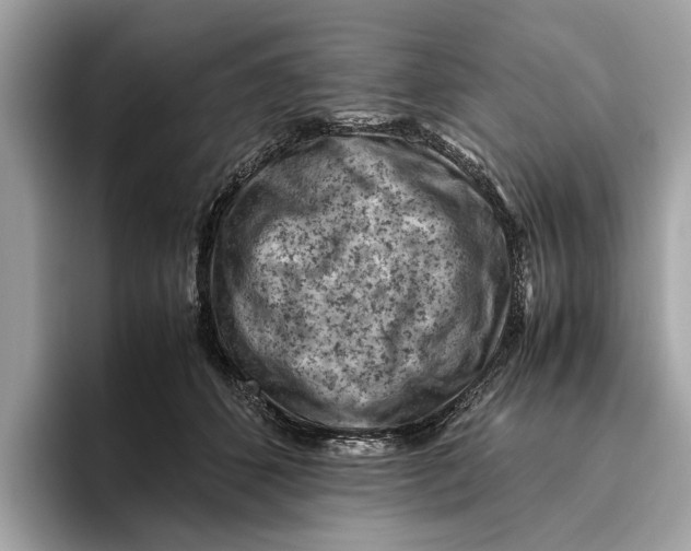 X0000096440512200802141454