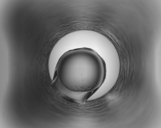 X0000096440513200802141454