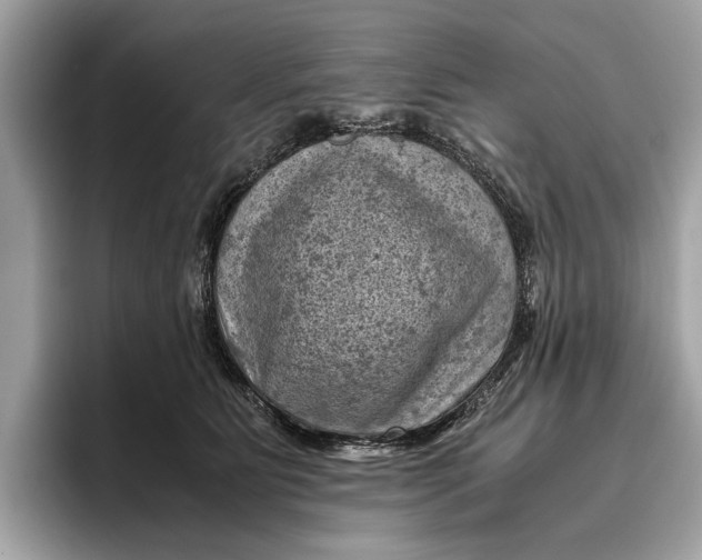 X0000096440515200802141454