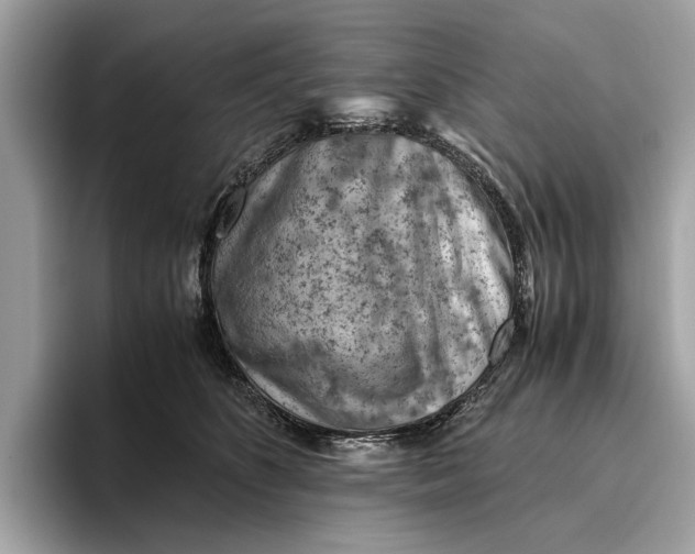 X0000096440516200802141454