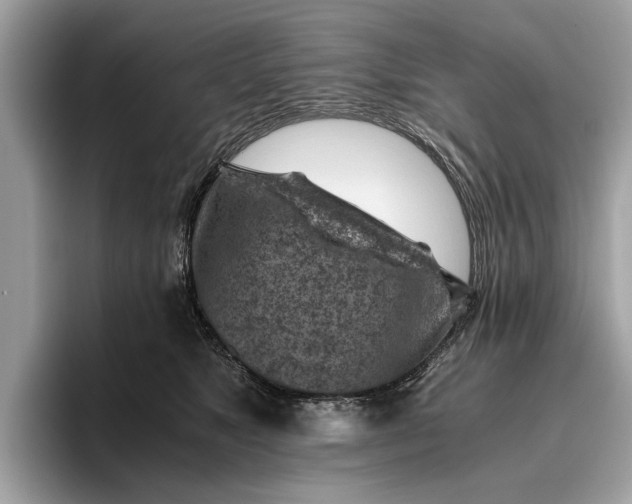 X0000096440517200802141454