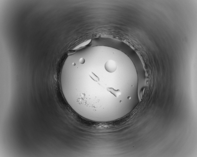 X0000096440518200802141454