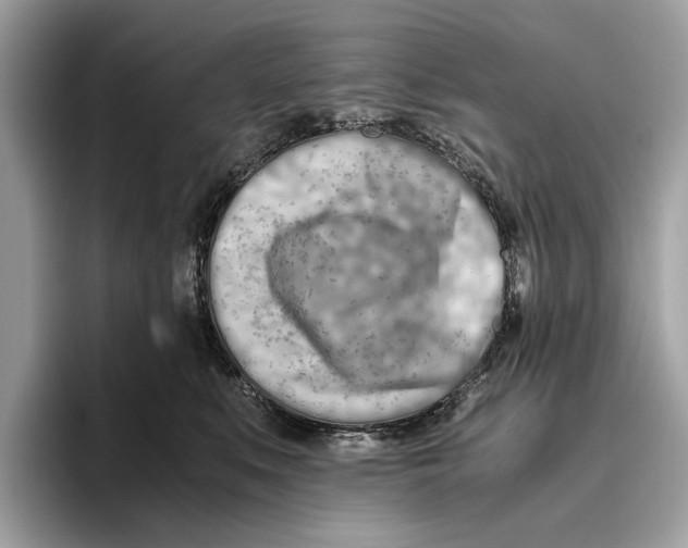 X0000096440519200802141454