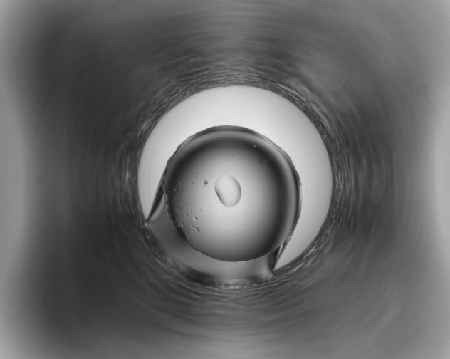 X0000096440520200802141454