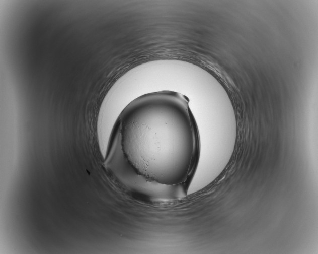 X0000096440521200802141454