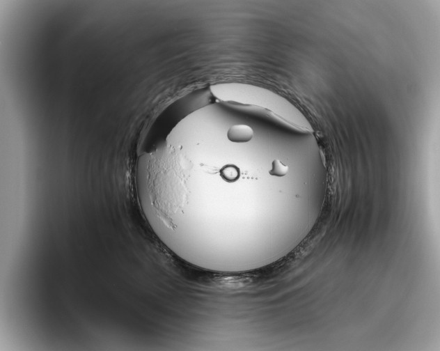 X0000096440522200802141454