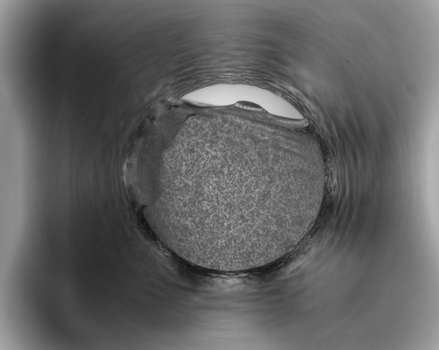 X0000096440523200802141454