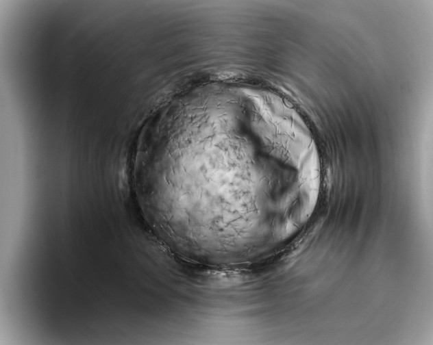 X0000096440524200802141454