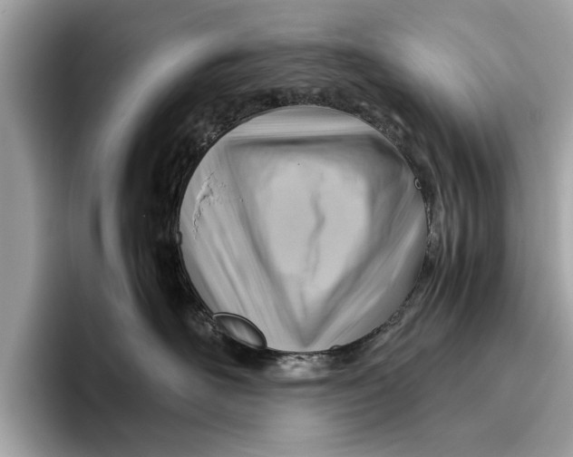 X0000096440526200802141454