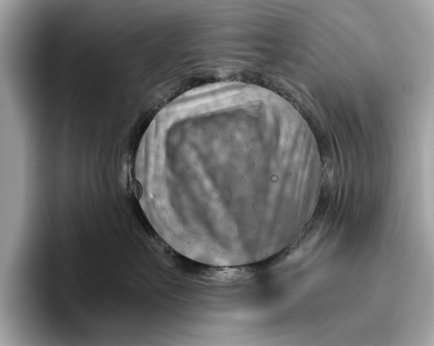 X0000096440527200802141454