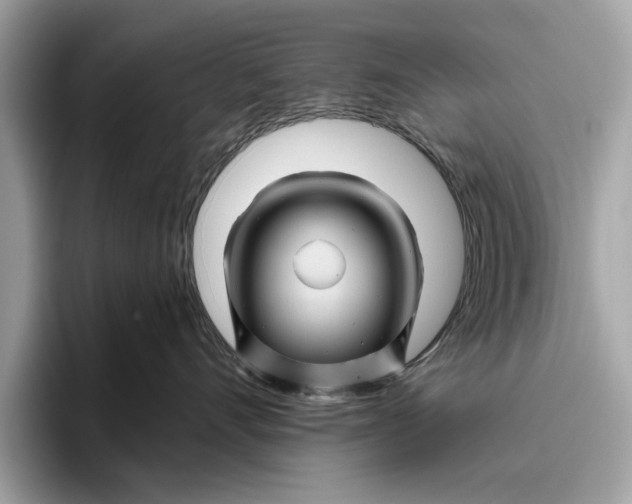 X0000096440528200802141454