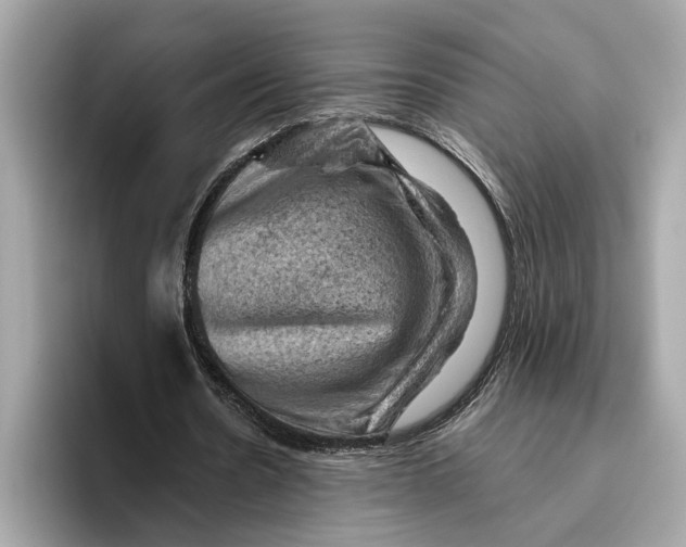 X0000096440530200802141454