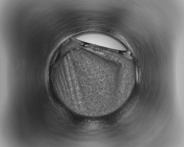 X0000096440531200802141454