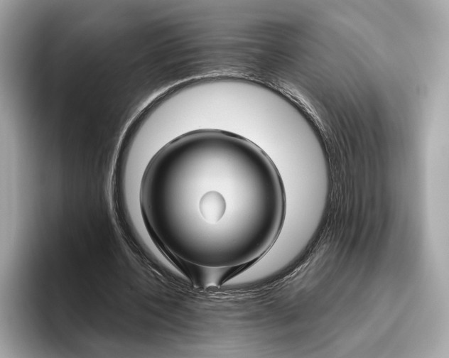 X0000096440532200802141454