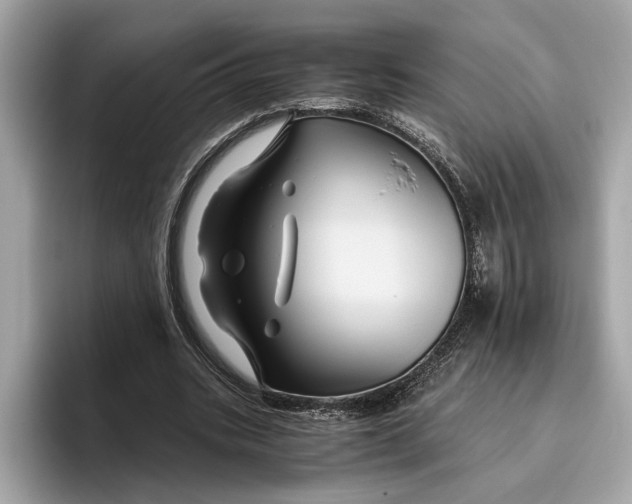 X0000096440535200802141454