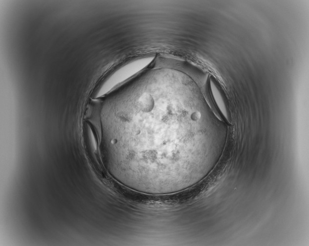 X0000096440538200802141454