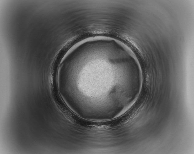 X0000096440539200802141454