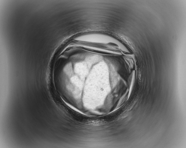 X0000096440540200802141454