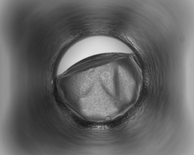 X0000096440543200802141454