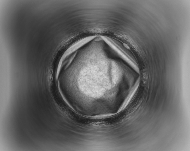 X0000096440544200802141454