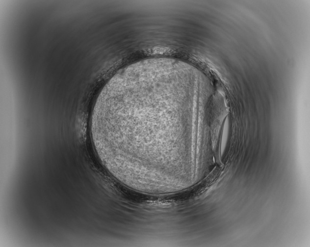 X0000096440545200802141454